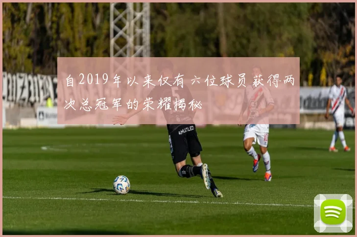 自2019年以来仅有六位球员获得两次总冠军的荣耀揭秘